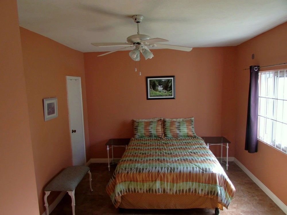 Centrally Located Guest Apartments Kingston Exterior foto