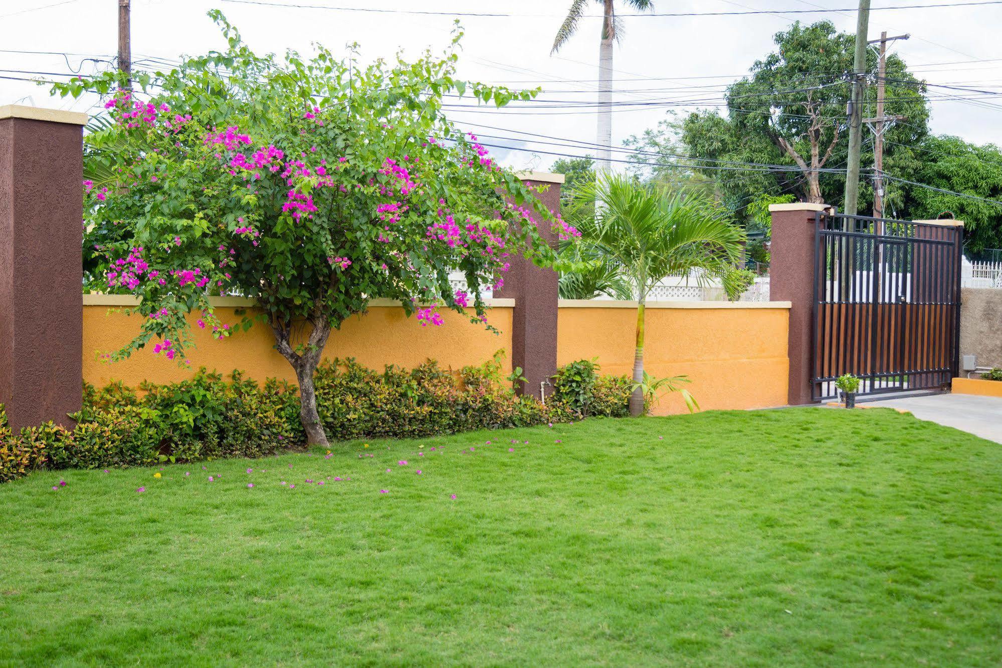 Centrally Located Guest Apartments Kingston Exterior foto