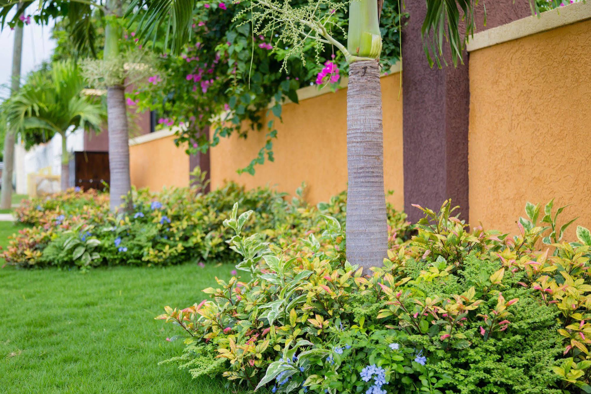 Centrally Located Guest Apartments Kingston Exterior foto