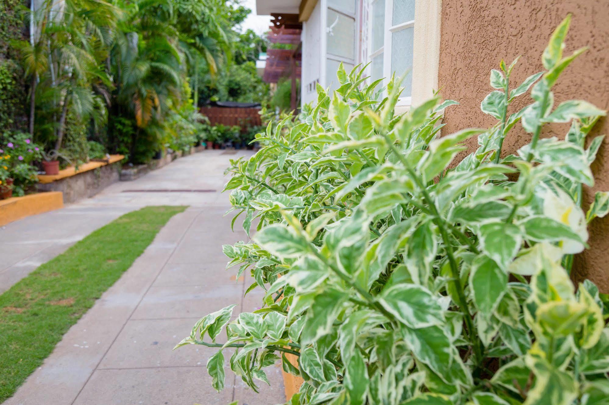 Centrally Located Guest Apartments Kingston Exterior foto