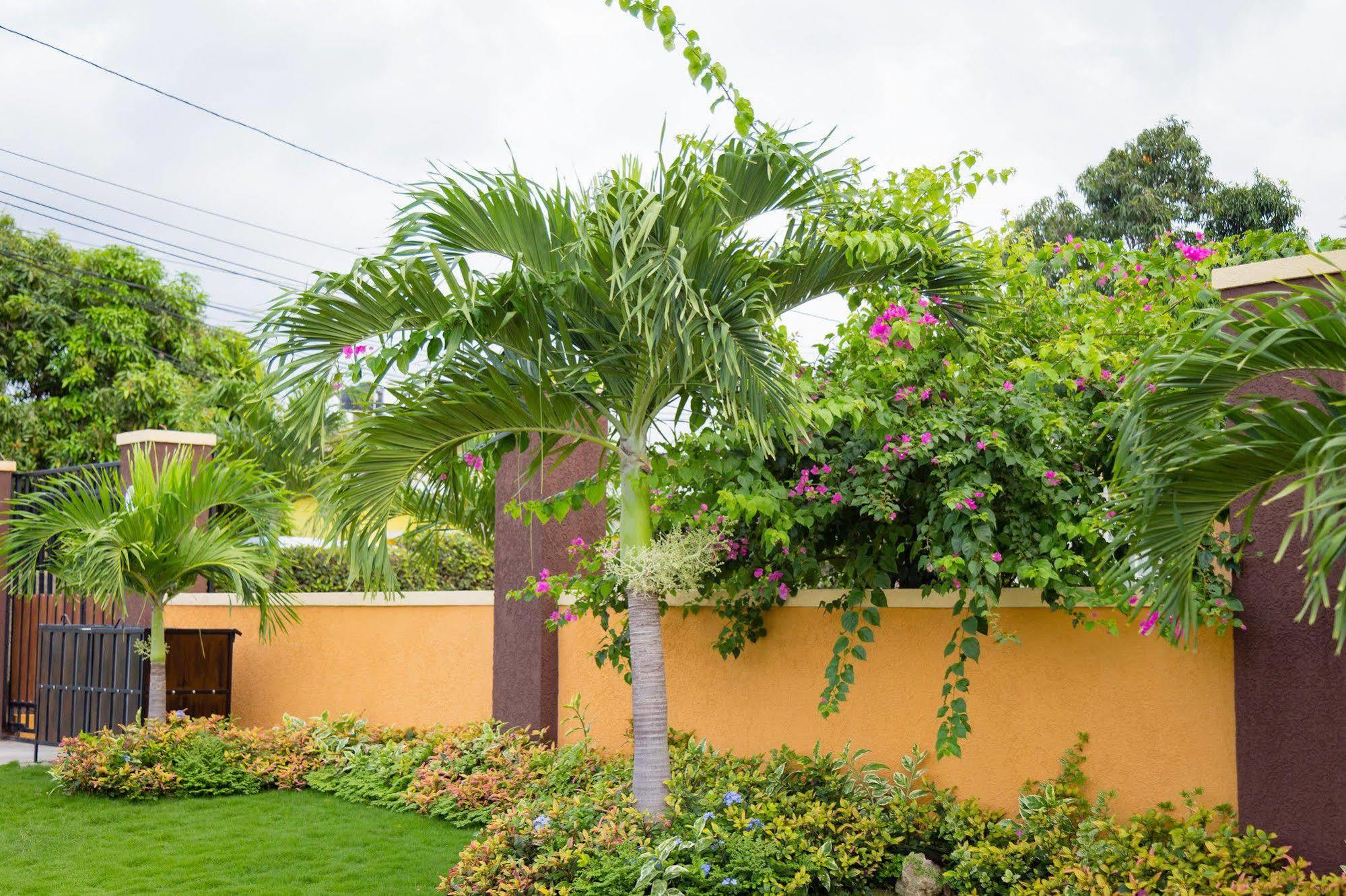Centrally Located Guest Apartments Kingston Exterior foto